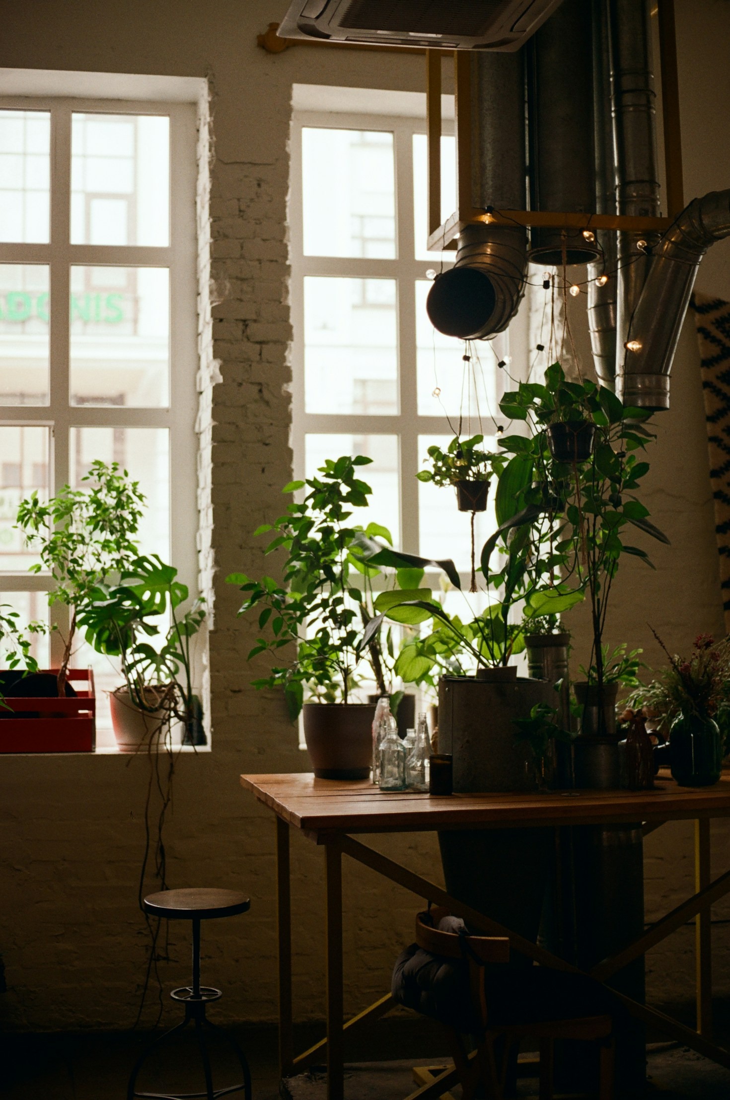 10 Livros que Moldaram Minha Jornada de Vida